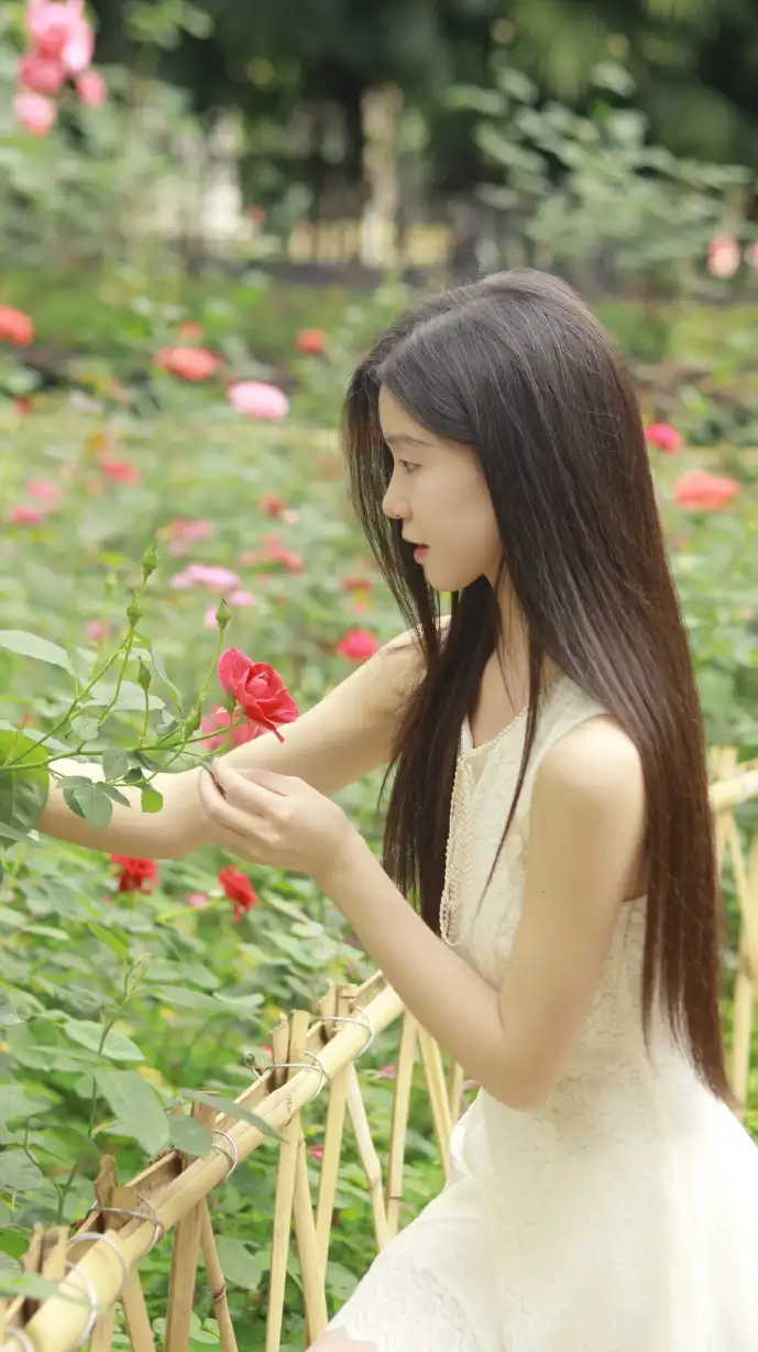 人脉网络可视化图谱