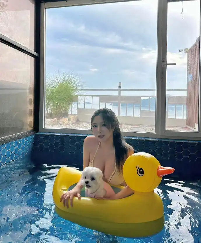 green下载数据分析